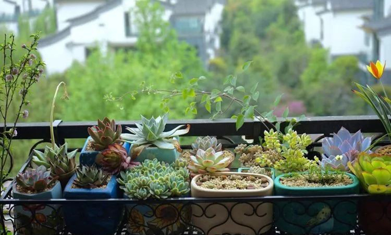 Chàng thiết kế trẻ khéo biến ban công 3m² thành khu vườn mộng mơ khiến các chị em cũng phải ghen tị-15