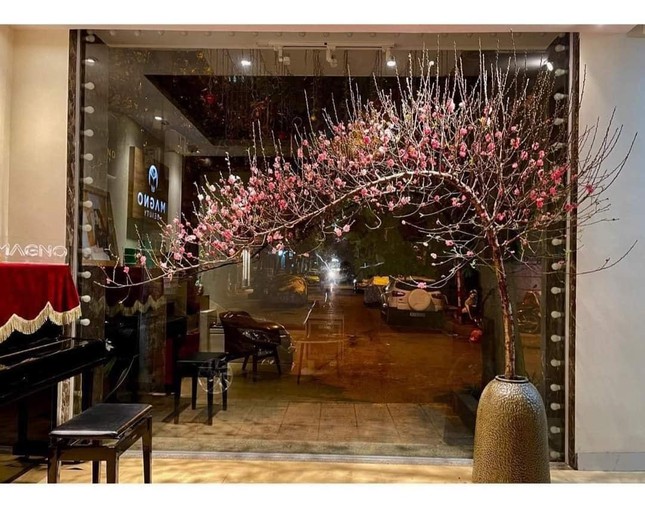 Chị em Hà thành chi tiền triệu mua ‘củi khô’, đào huyền để chơi Tết-2