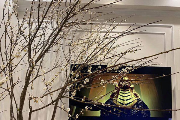 Đào Nhật Tân 3 màu độc lạ thâm nhập thị trường hoa Tết-7