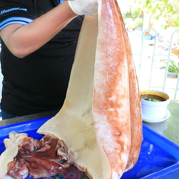 Hai loại mực khổng lồ cháy hàng” ở Việt Nam giá thế nào?-3