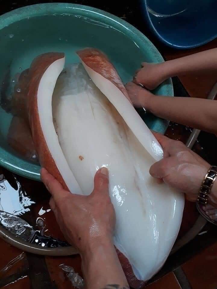 Hai loại mực khổng lồ cháy hàng” ở Việt Nam giá thế nào?-6