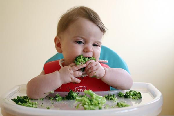 Ăn dặm BLW trao quyền tự chủ cho bé, mẹ hãy để bé tự quyết định và tôn trọng lựa chọn của con-5