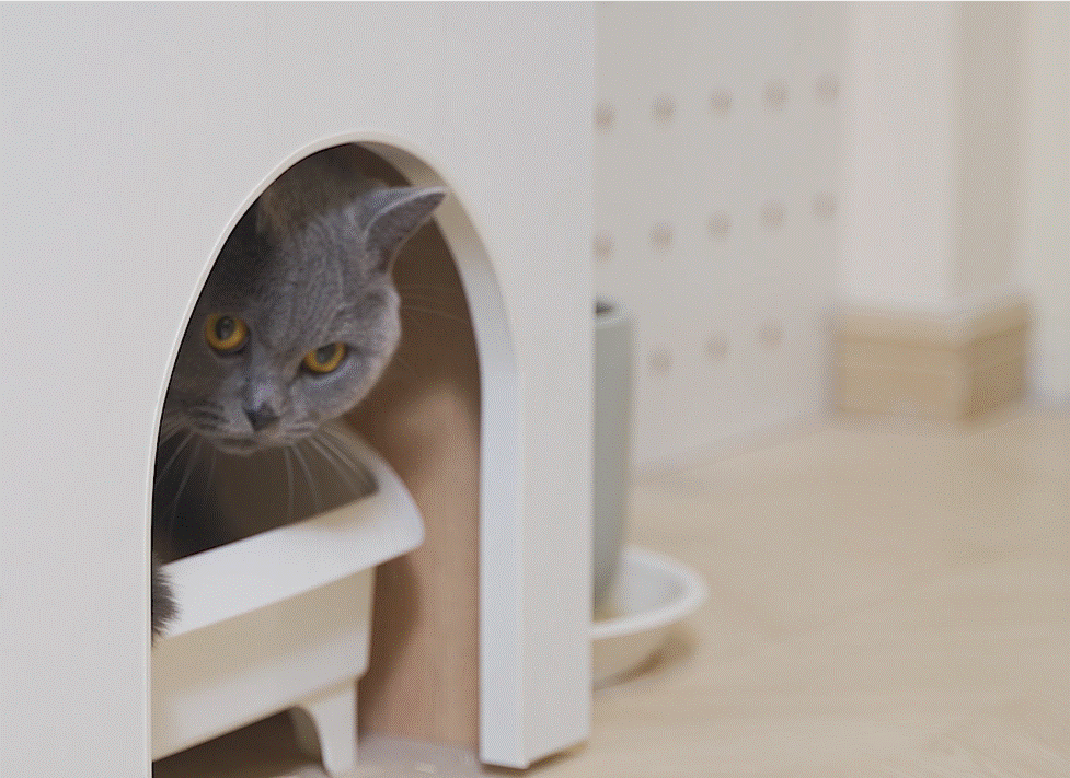 Không gian sống 32m² lột xác” thành công biến thành căn hộ kiểu mẫu theo phong cách Nhật Bản nhẹ nhàng, ấm cúng-6