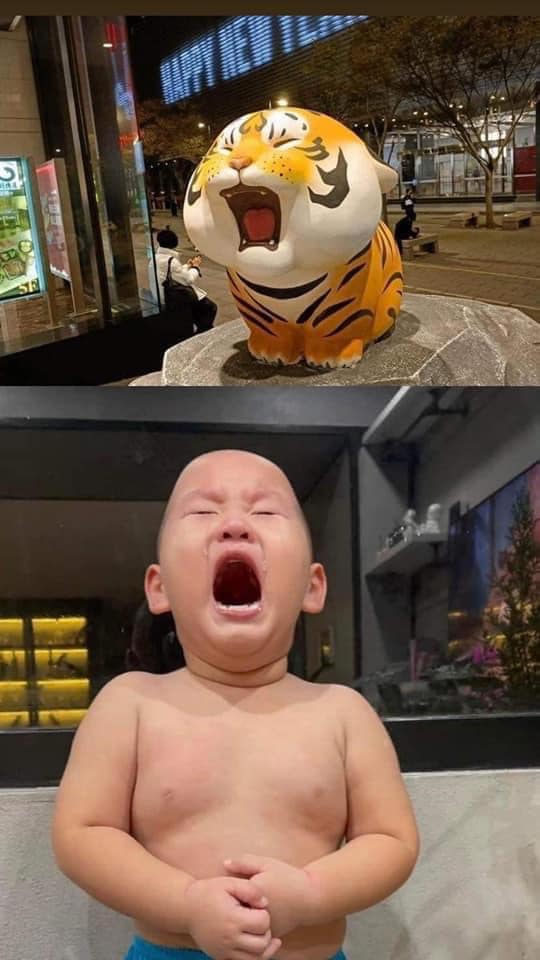 Cười mệt trước màn hoá thân của con trai Trà My Idol thành tượng bé Hổ, fan chắc nịch giống nhau như 2 giọt nước-1