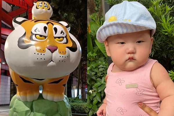 Bạn gái thích quả ổi, con trai Trà My Idol quyết hái bằng được dù bị ngăn cản, bé xíu mà đã 3 phần cố chấp 7 phần ga lăng-10