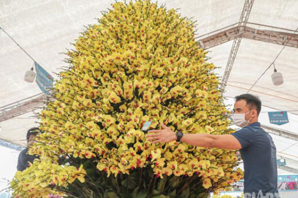 Nỗi lòng người bán hoa: Không còn cảnh đập chậu ngày 30 Tết là hạnh phúc của chúng tôi-10