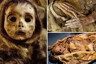Phát hiện xác ướp em bé sơ sinh 500 năm vẫn còn vẹn nguyên từ da đến tóc, chuyên gia khám nghiệm tìm ra sự thật quá mức đau lòng