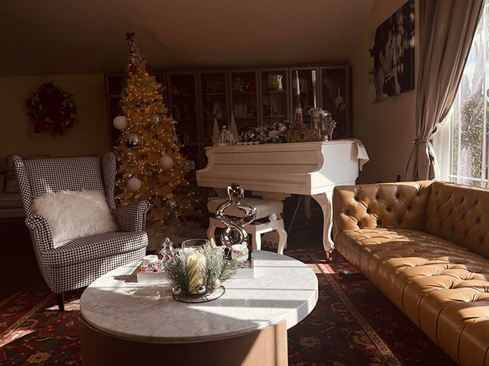 Nguyễn Hồng Nhung giàu có cỡ nào sau 18 năm sang Mỹ vì scandal ảnh nóng?-7