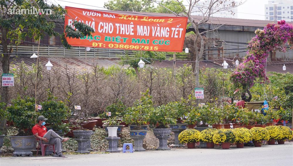 Nỗi lòng người bán hoa: Không còn cảnh đập chậu ngày 30 Tết là hạnh phúc của chúng tôi-1