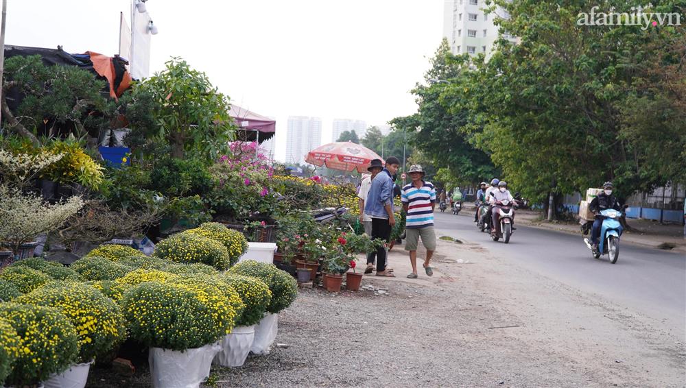 Nỗi lòng người bán hoa: Không còn cảnh đập chậu ngày 30 Tết là hạnh phúc của chúng tôi-2