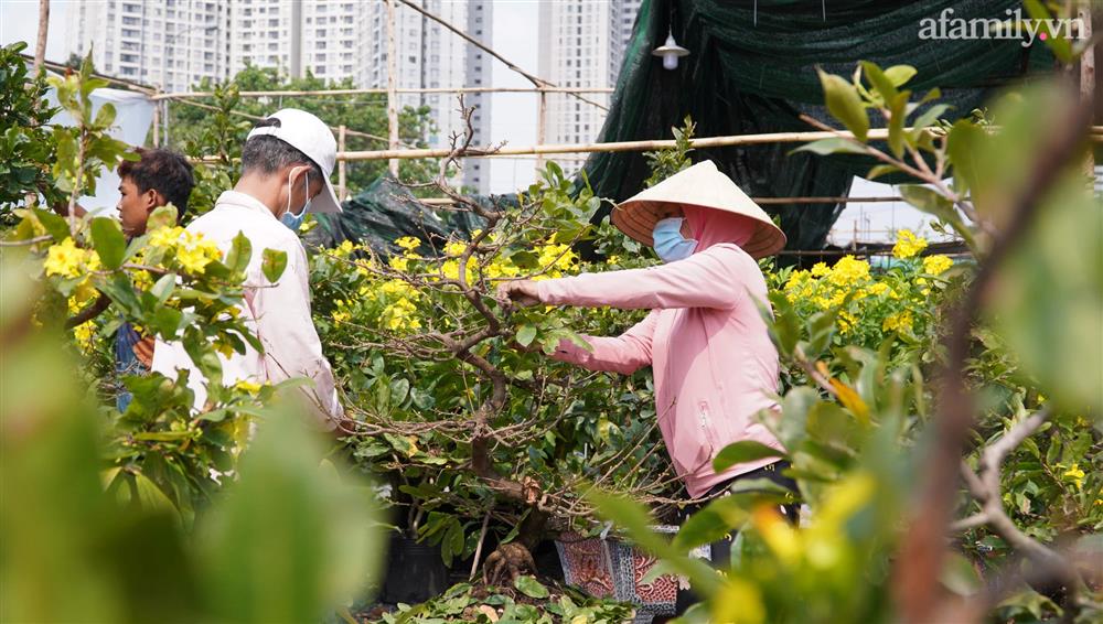 Nỗi lòng người bán hoa: Không còn cảnh đập chậu ngày 30 Tết là hạnh phúc của chúng tôi-6