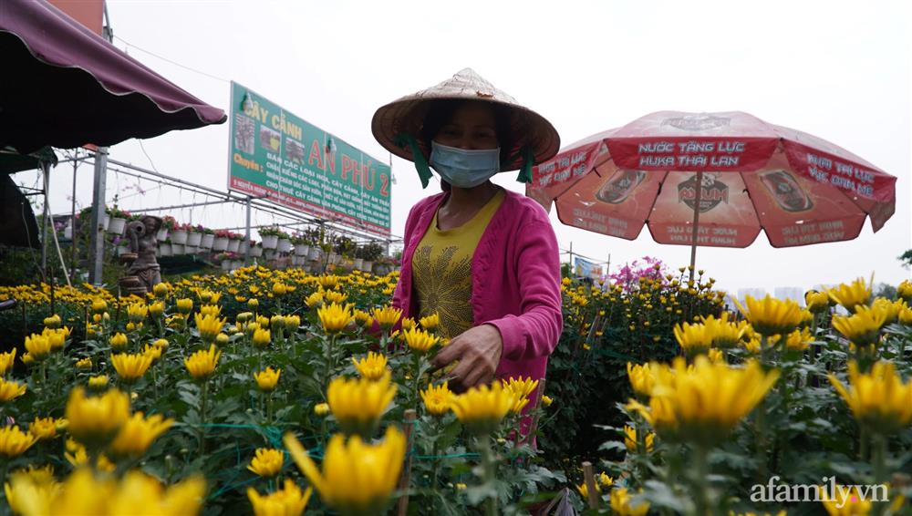 Nỗi lòng người bán hoa: Không còn cảnh đập chậu ngày 30 Tết là hạnh phúc của chúng tôi-7