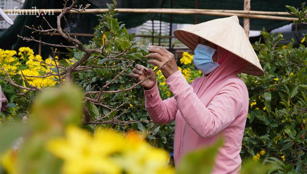 Nỗi lòng người bán hoa: Không còn cảnh đập chậu ngày 30 Tết là hạnh phúc của chúng tôi-8