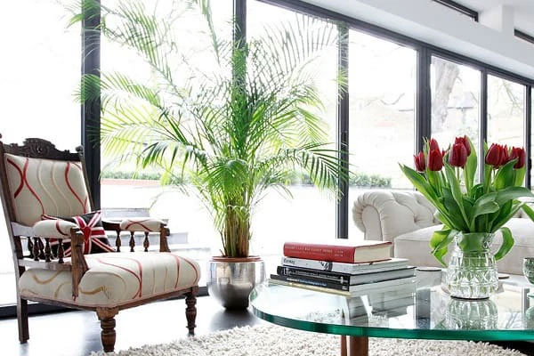 Học người giàu 5 quy tắc đặt bình hoa chơi Tết để thành con cưng của Thần Tài, năm mới phất như diều gặp gió-6