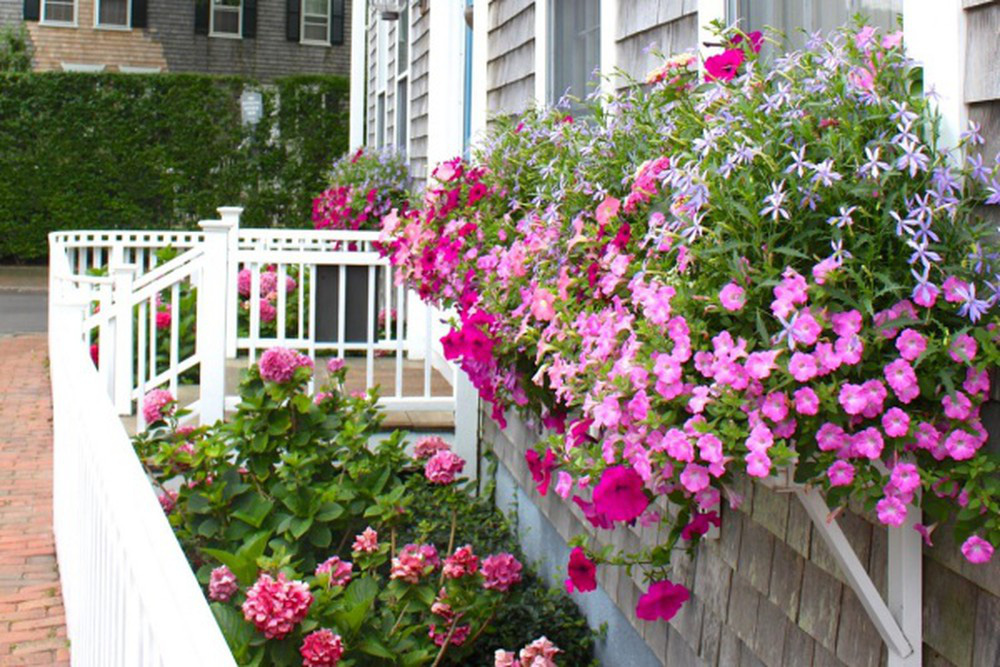 Trang trí nhà ngày Tết: Đừng quên 4 mẹo nhỏ này-11