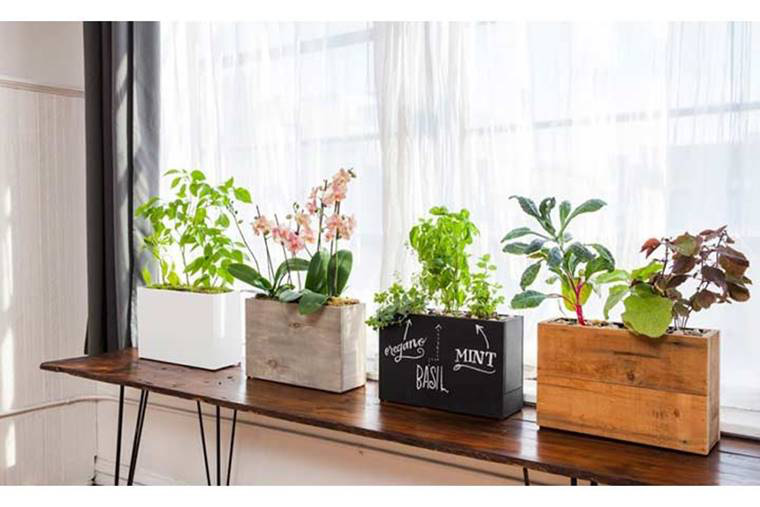 Trang trí nhà ngày Tết: Đừng quên 4 mẹo nhỏ này-12