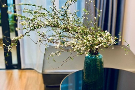 Học người giàu 5 quy tắc đặt bình hoa chơi Tết để thành 