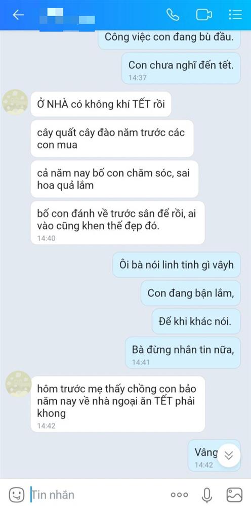 Lo không có tiền về quê ăn Tết, mẹ chồng tài trợ ngay 6 chỉ vàng và tiết lộ bí mật khủng của bà-2