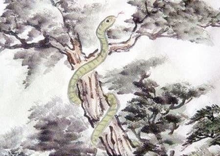 Cuối tuần này (22-23/1), top 3 con giáp hưởng trọn vinh hoa, phúc lộc đầy nhà, vạn sự như ý, tình duyên khởi sắc-3