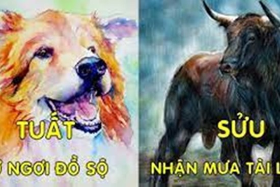 Tử vi tuần mới từ ngày 24-30/1/2022 của 12 con giáp: Sửu có một tuần mới may mắn, Tuất tình duyên khởi sắc