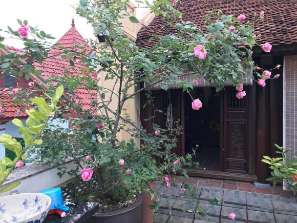 Không gian sống hiện tại ở tuổi 59 của NSND Lê Khanh sau khi về hưu-2