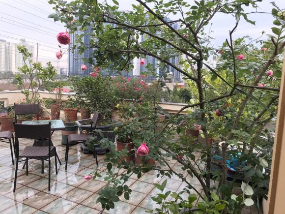 Không gian sống hiện tại ở tuổi 59 của NSND Lê Khanh sau khi về hưu-4