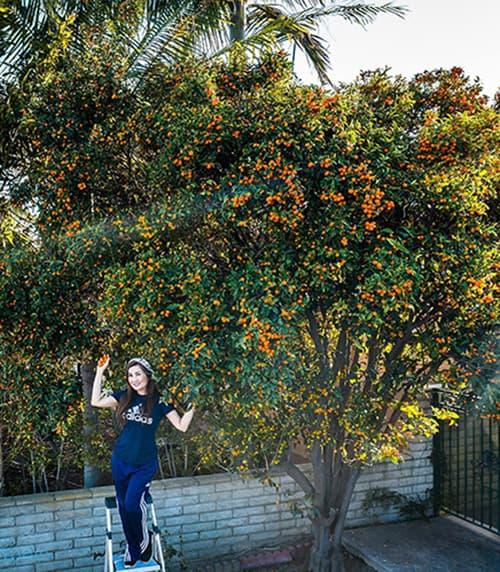 Khu vườn sai trĩu quả của giọng ca Mai lỡ hai mình xa nhau - Hạ Vy tại Mỹ-1