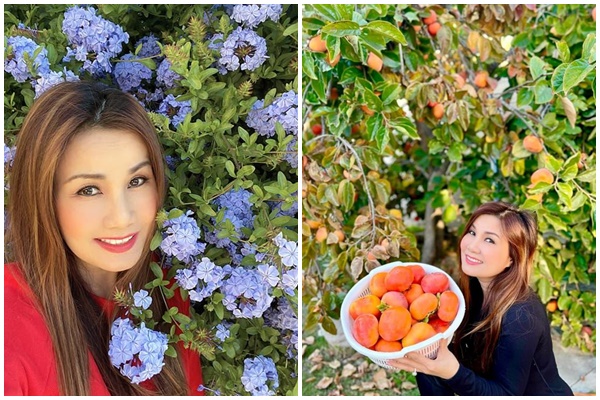 Ra Hà Nội đón Tết, siêu mẫu Thuý Hạnh vẫn đích thân trang trí biệt thự Sài Gòn rực rỡ không khí xuân-10