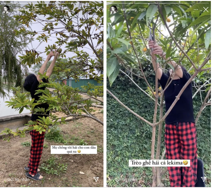 Chân dung mẹ chồng hào môn của Salim: Ăn mặc giản dị, đích thân ra vườn làm 1 thứ cho con dâu thấy mà mát ruột!-2