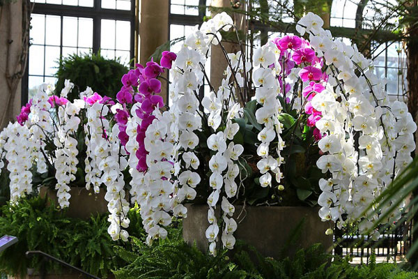 Suốt 20 ngày cực khổ, anh thợ chốt 100 triệu đồng ăn Tết-5