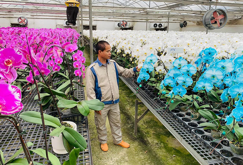 Suốt 20 ngày cực khổ, anh thợ chốt 100 triệu đồng ăn Tết-1