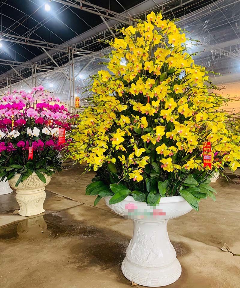 Suốt 20 ngày cực khổ, anh thợ chốt 100 triệu đồng ăn Tết-2