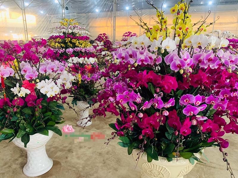 Suốt 20 ngày cực khổ, anh thợ chốt 100 triệu đồng ăn Tết-3