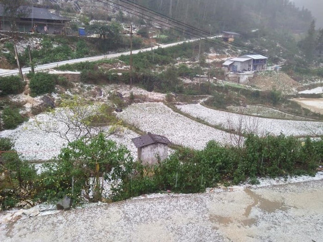 Cảnh báo thời tiết cực đoan dịp Tết: Không khí lạnh, áp thấp nhiệt đới liên tiếp xuất hiện, nguy cơ xảy ra giông lốc, mưa tuyết và băng giá, nền nhiệt xuống rất thấp-1