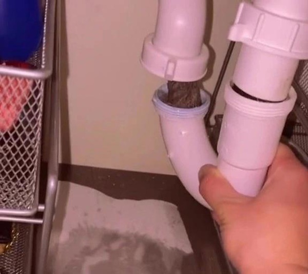 Tháo ống nước bị tắc, cô gái nổi da gà với thứ rùng rợn chui ra, hội chị em xem xong sợ xanh mặt phải bỏ ngay thói quen này-1