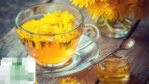 Loại cây người Việt để mọc dại ven đường nhưng là liều thuốc quý chống ung thư, bảo vệ gan-2