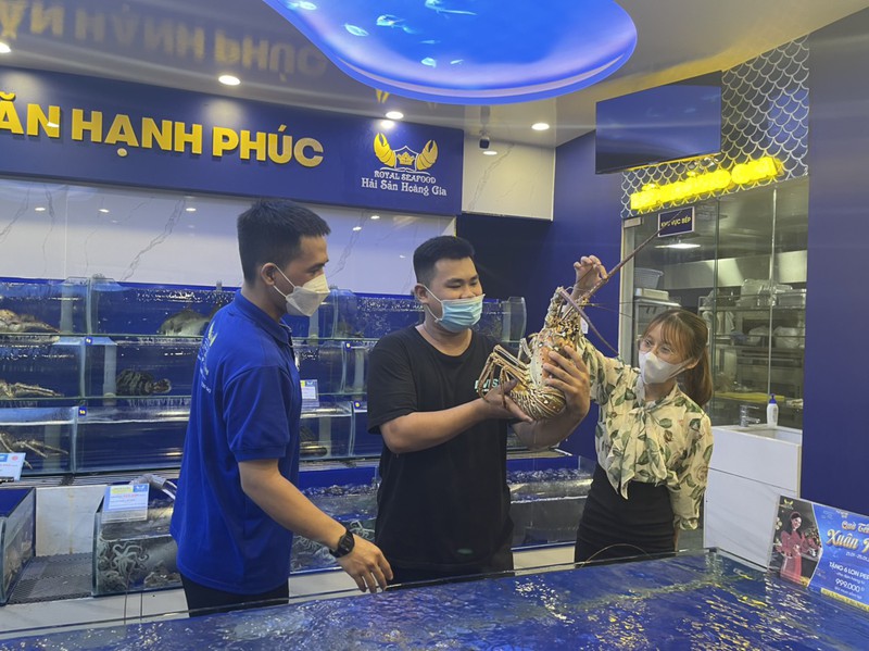 Cận cảnh tôm hùm Caribe giá 10 triệu/con lần đầu về Việt Nam-5