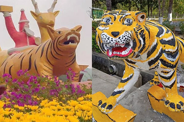 Chiêm ngưỡng nhan sắc loạt linh vật Quý Mão 2023: Mèo Vũng Tàu e ấp, mèo Thanh Hóa phẫu thuật quá đà-8