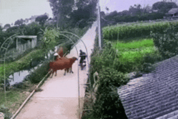 Phóng nhanh vượt ẩu, tài xế hất văng người đi xe máy lên nóc ô tô-1