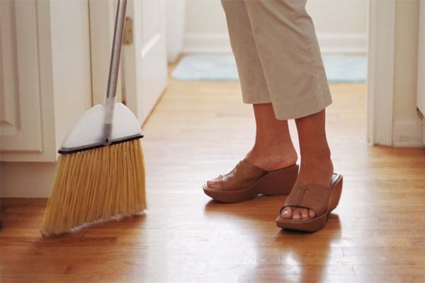 4 loại cây phá tài tán lộc, gia chủ nhất định không được đặt trong nhà dịp Tết Nhâm Dần 2022-5