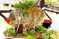 Ăn cá mà bỏ bộ phận này chẳng hóa vứt bỏ thần dược chữa được vô số bệnh, tiếc là người Việt thường bỏ đi ngay khi sơ chế vì nghĩ tanh bẩn