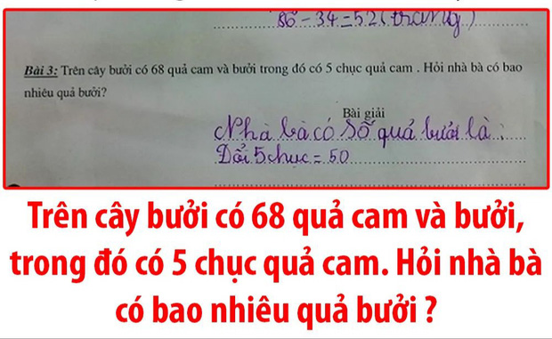 Bài Toán cấp 1: Có 68 quả cam và bưởi, trong đó có 5 chục quả cam - Chỉ người IQ cao mới phát hiện điểm sai trái ở đây!-1
