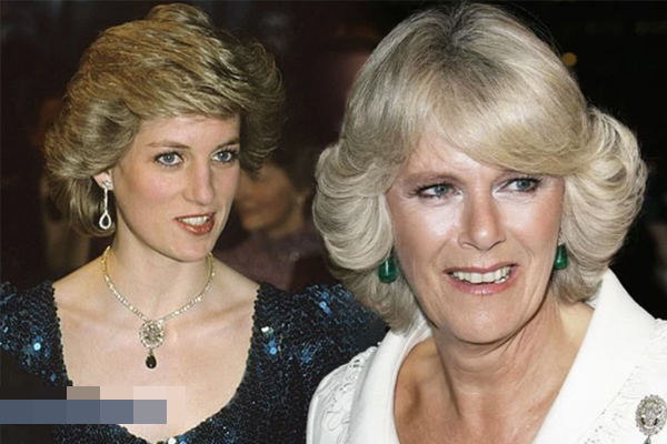 Loạt ảnh bầu bí vẫn lộng lẫy như nữ thần của Công nương Diana, bảo sao được mệnh danh là mỹ nhân hoàng gia đẹp nhất thế giới-11