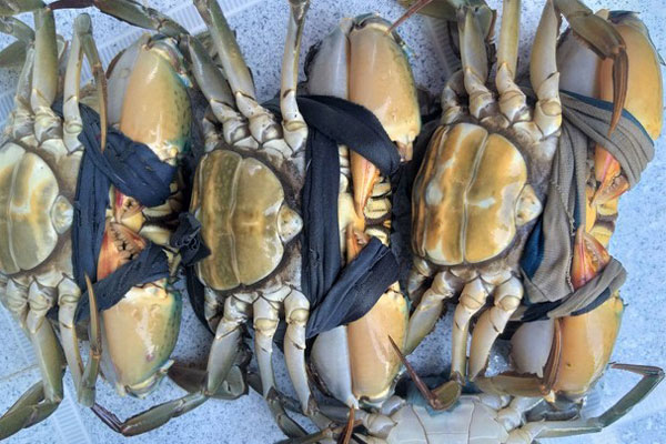 Món lạ chợ Tết nhà giàu: Hơn 3 triệu đồng 1 bộ chân cua-3