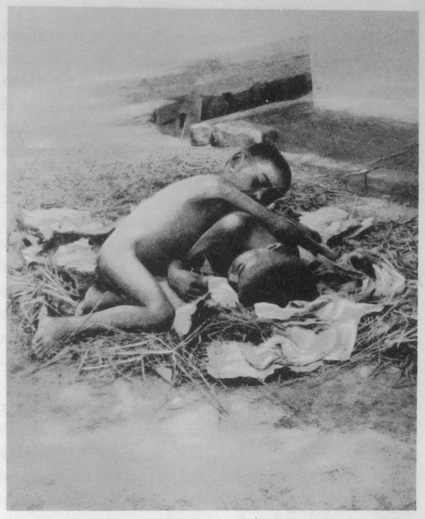 Câu chuyện về 4 đứa trẻ rừng xanh được bầy khỉ cứu, hành xử như chó, tưởng mình là gà suốt 8 năm-1