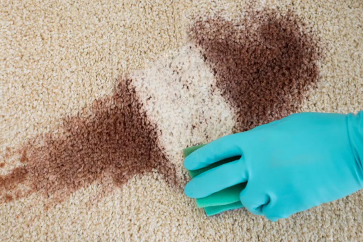 Cách tự giặt các loại thảm trải sàn, trang trí để đón Tết mà không phải mang ra ngoài hàng-3