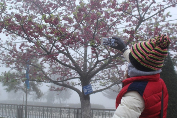 Bí thư Thành ủy Đinh Tiến Dũng thăm, chúc Tết nhân viên y tế, công nhân lao động tại huyện Đông Anh-6