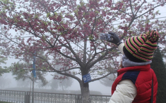 Bắc Bộ sắp đón đợt rét đậm nhất năm, có nơi dưới 3 độ C-1