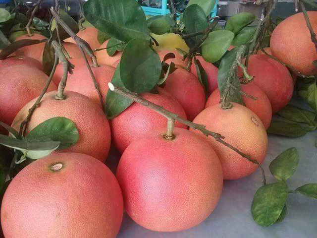 Những đặc sản đắt đỏ, giá tiền triệu nhưng cứ Tết đến là trong tình trạng cháy hàng-4