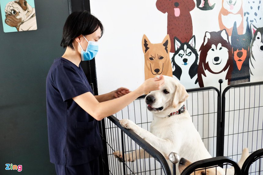 Chi 30 triệu đồng để gửi chó, mèo xuyên Tết ở TP.HCM-4
